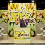 solbanana_1